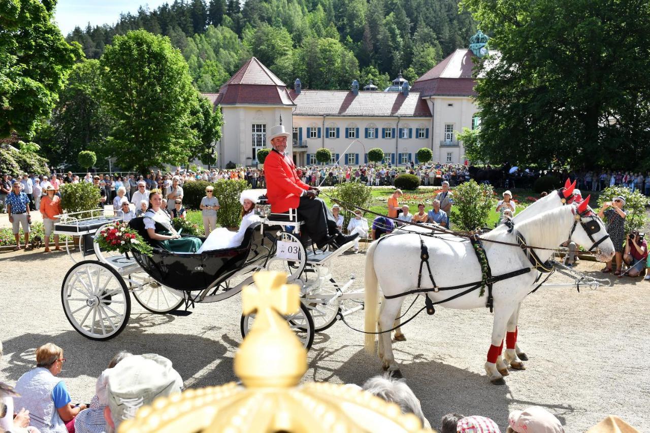 Jungbrunnen 2*